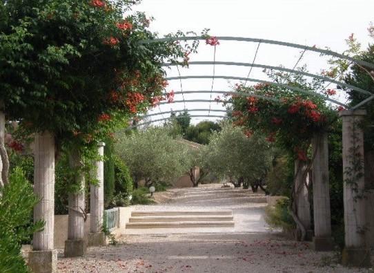 Le Mazet 40 Βίλα Saint-Rémy-de-Provence Εξωτερικό φωτογραφία
