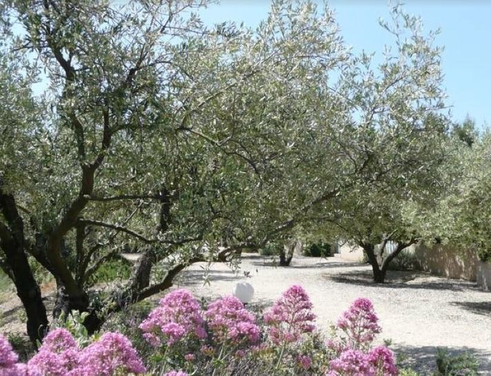 Le Mazet 40 Βίλα Saint-Rémy-de-Provence Εξωτερικό φωτογραφία